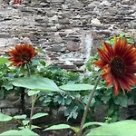 Les Augustins, D'hotes, Quartier Historique, Accueil 2 Roues Angers