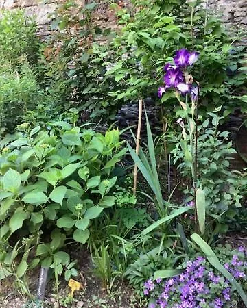 Le Beau Repaire, Chambres D'Hotes, Quartier Historique, Accueil Velos ベッド・アンド・ブレックファスト