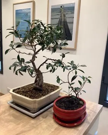 ベッド・アンド・ブレックファスト Le Beau Repaire, Chambres D'Hotes, Quartier Historique, Accueil Velos 3*