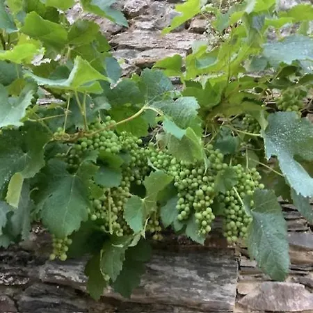Le Beau Repaire, Chambres D'Hotes, Quartier Historique, Accueil Velos
