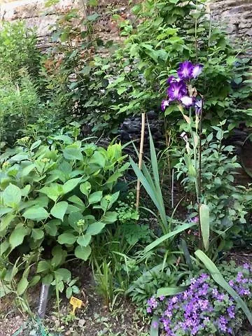 Le Beau Repaire, D'hotes, Quartier Historique, Accueil Velos Frühstückspension