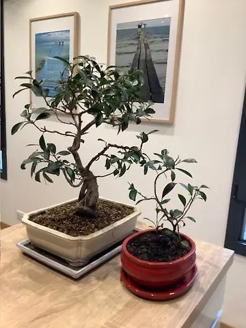 Frühstückspension Le Beau Repaire, D'hotes, Quartier Historique, Accueil Velos 3*