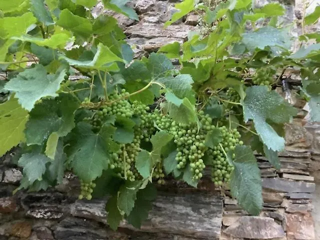 Le Beau Repaire, D'hotes, Quartier Historique, Accueil Velos